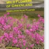 Wild Flowers Of Greenland - Grønlands Vilde Planter