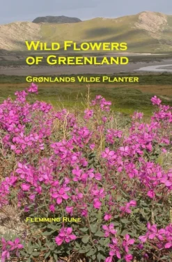 Wild Flowers Of Greenland - Grønlands Vilde Planter
