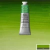 Winsor & Newton - Akvarelfarve - Permanent Sap Green 37 ML