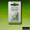 Winsor & Newton - Akvarelfarve 1/2 Pan - Permanent Sap Green