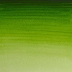 Winsor & Newton - Akvarelfarve 1/2 Pan - Permanent Sap Green