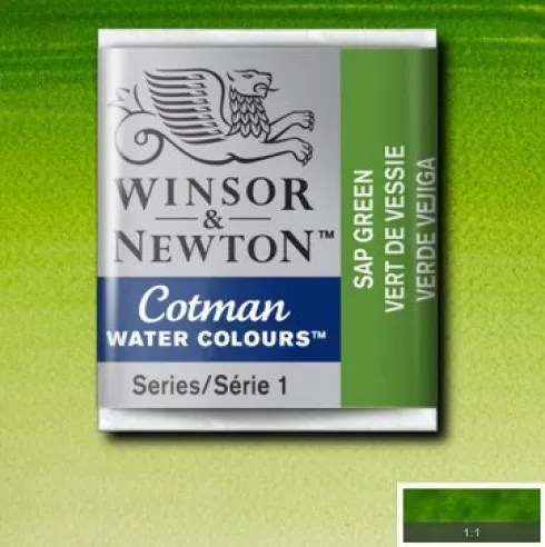 Winsor & Newton - Cotman Watercolour - 1/2 Pan - Sap Grøn