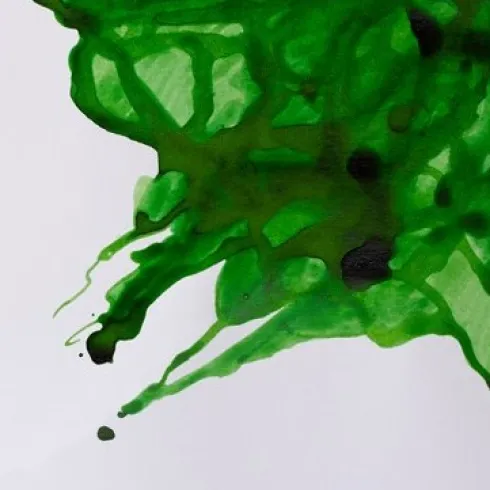 Winsor & Newton - Drawing Ink 14Ml Apple Green 011