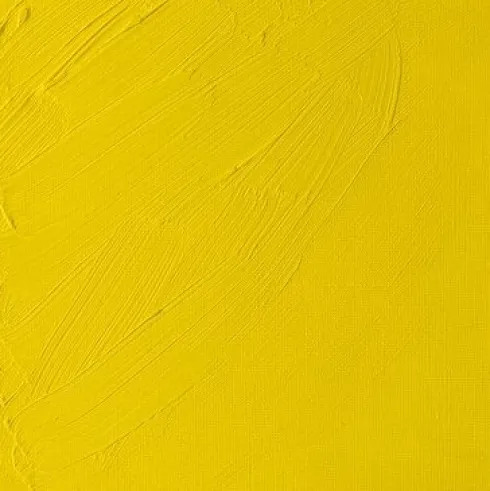 Winsor & Newton - Oliemaling - Artists - Cadmium Lemon 37 ML