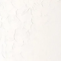 Winsor & Newton - Winton Oil Colour 37 ML - Titanium White 644