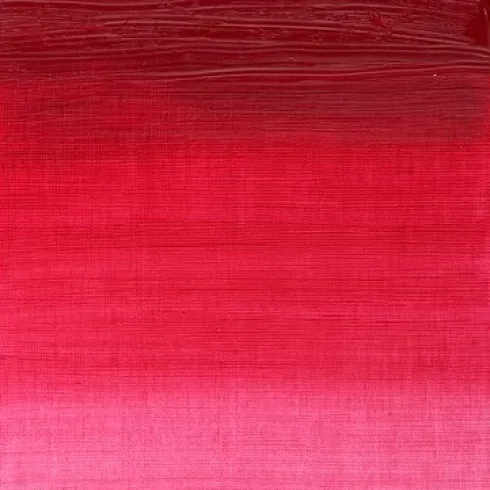 Winsor & Newton - Winton Oil Colour 37 ML - Permanent Rose 502