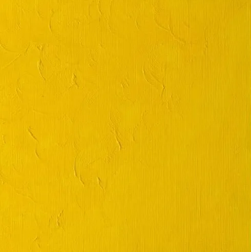 Winsor & Newton - Winton Oil Colour 37 ML - Cadmium Yellow Pale Hue 119