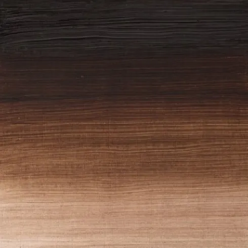 Winsor & Newton - Winton Oil Colour 37 ML - Vandyke Brown 676